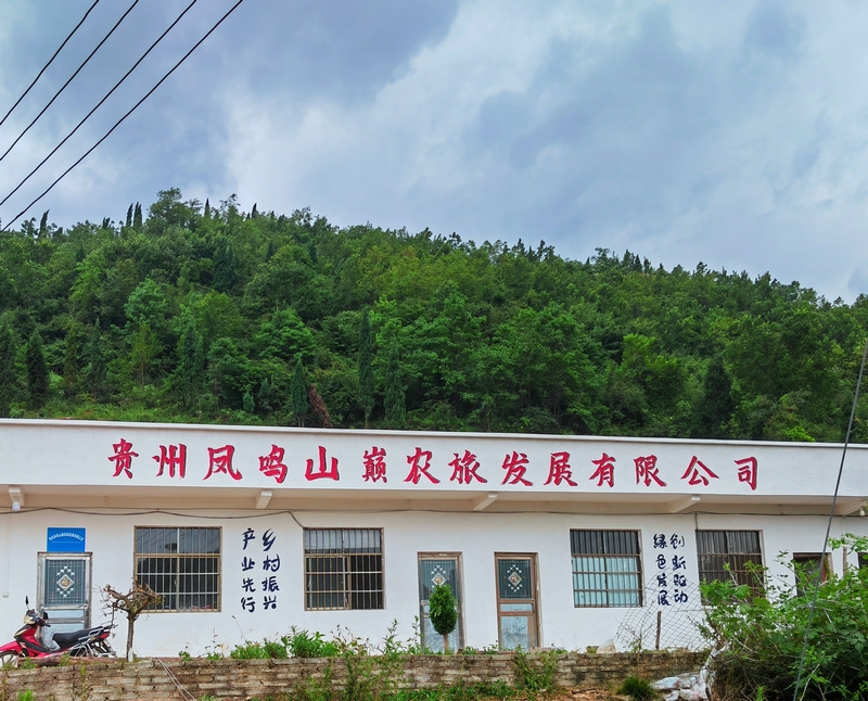 5貴陽清鎮朝陽村創辦的企業