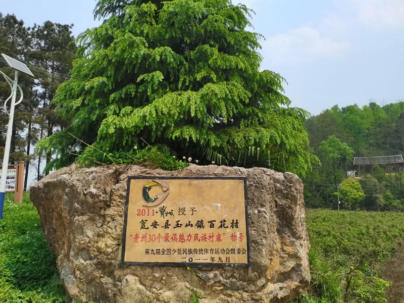 2 圖為甕安縣玉山鎮白花村一角。