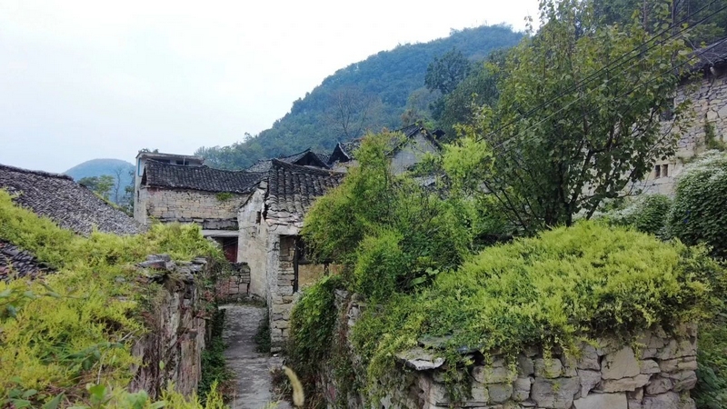 圖為普定縣黃桶街道陳旗村一角。