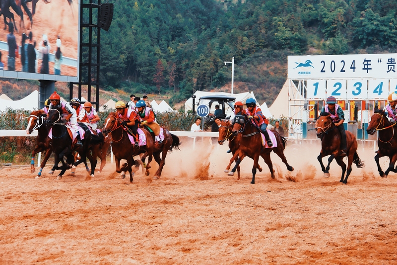 貴州村馬持續引燃“超級周末”。