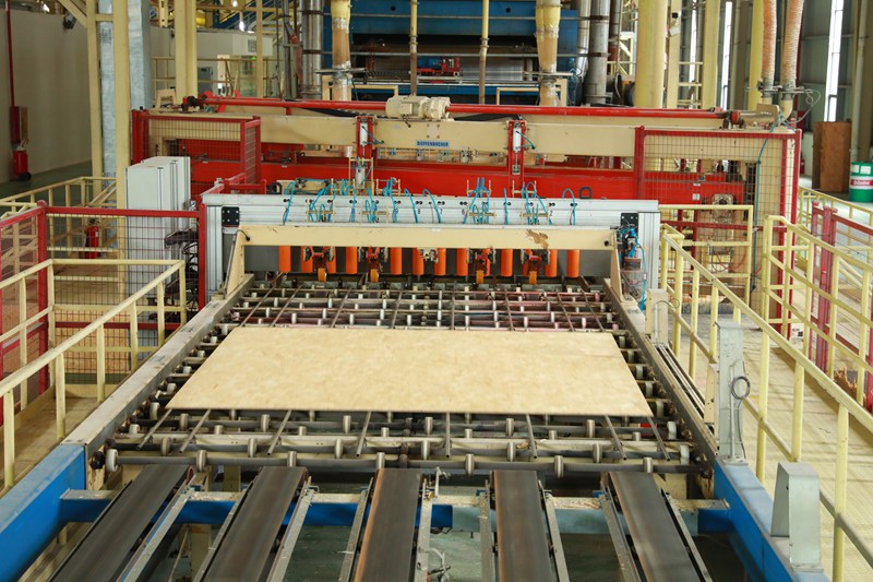 貴州省劍河縣天生祥木材智能制造有限公司。楊家孟攝3