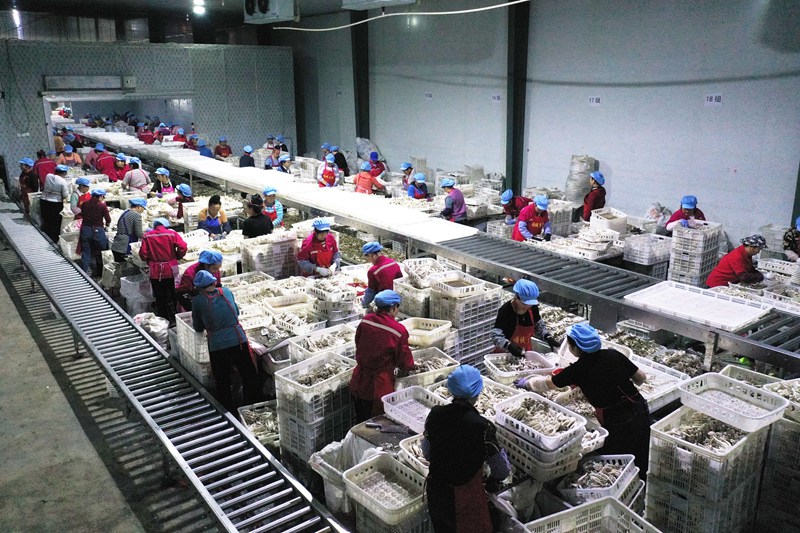 工人在劍河縣食用菌產業(yè)園內的貴州順誠生物科技有限公司車間作業(yè)。楊家孟攝