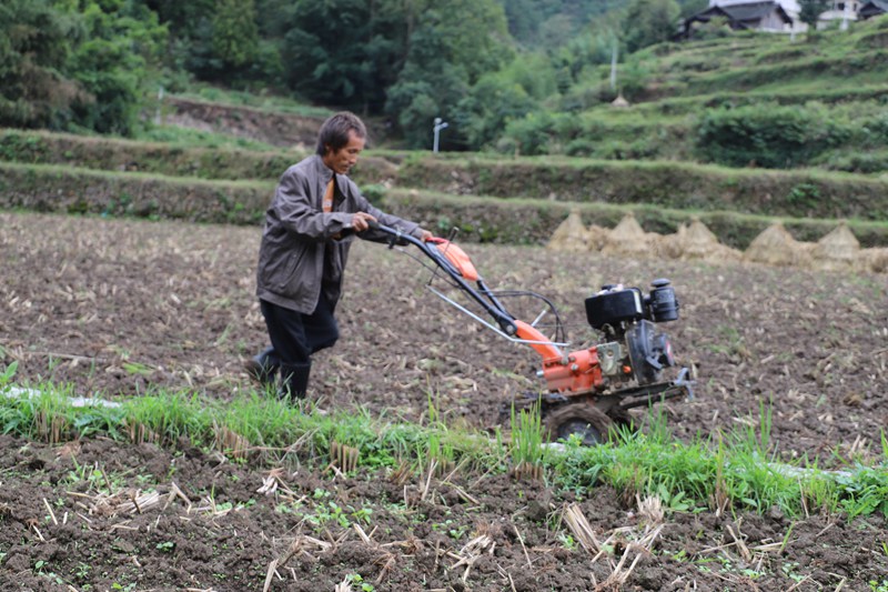 新華村土地翻犁。