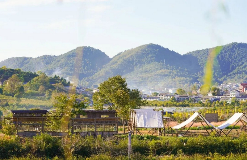 永樂鄉的秋天，你不能錯過的絕美風光。