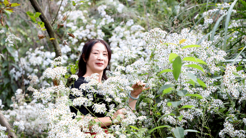 游客在花叢中拍照 修文縣融媒體中心陶群 攝