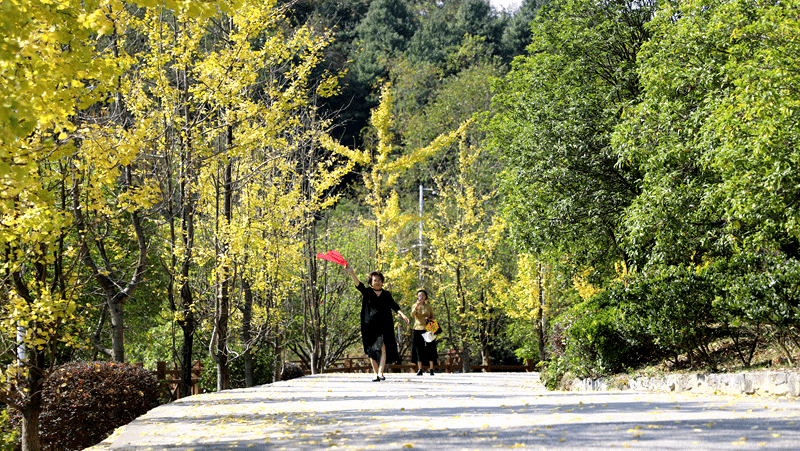 峰泰湖森林 修文縣融媒體中心畢音紅 攝