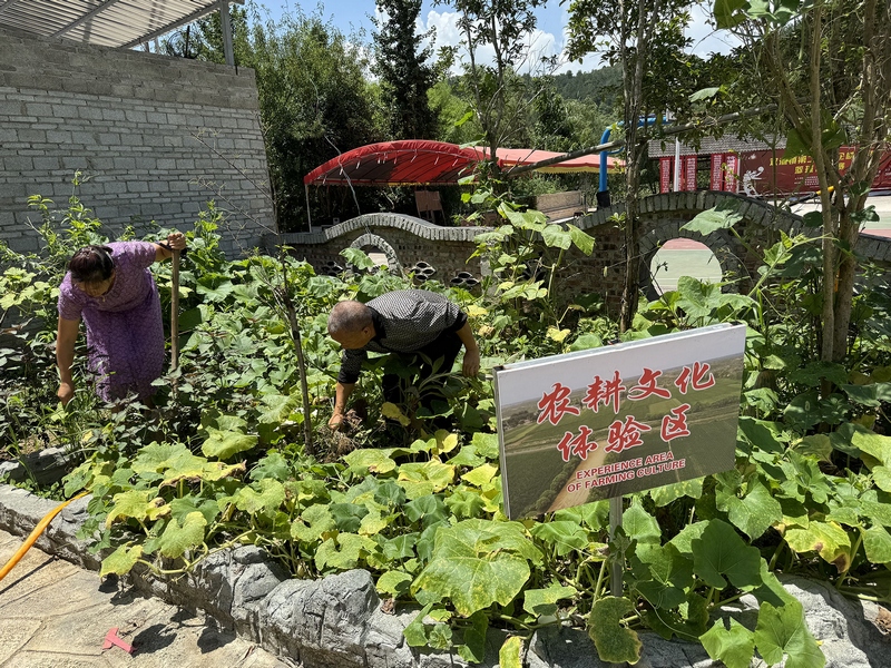 2 圖為：農(nóng)耕體驗區(qū)