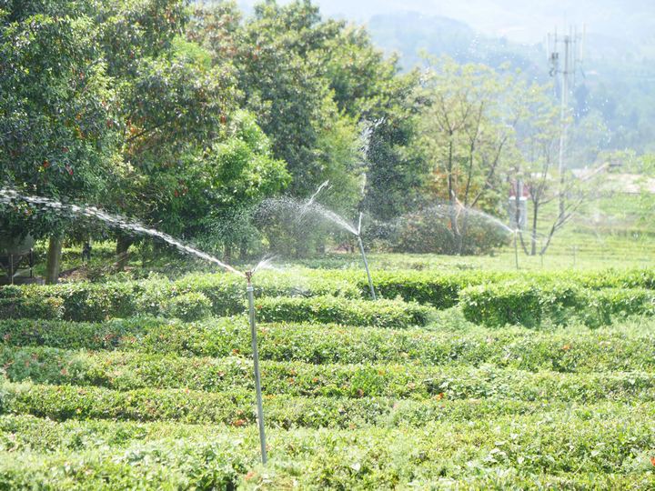 場(chǎng)景應(yīng)用。