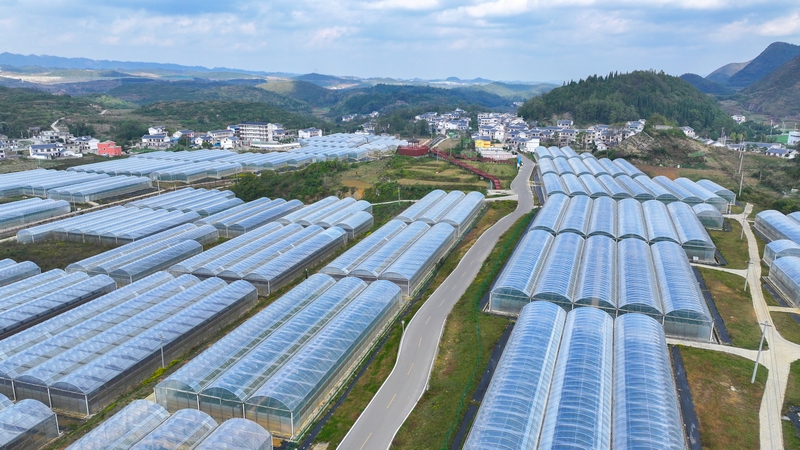 虎山彝寨至琊隴壩公路。廖迅 攝