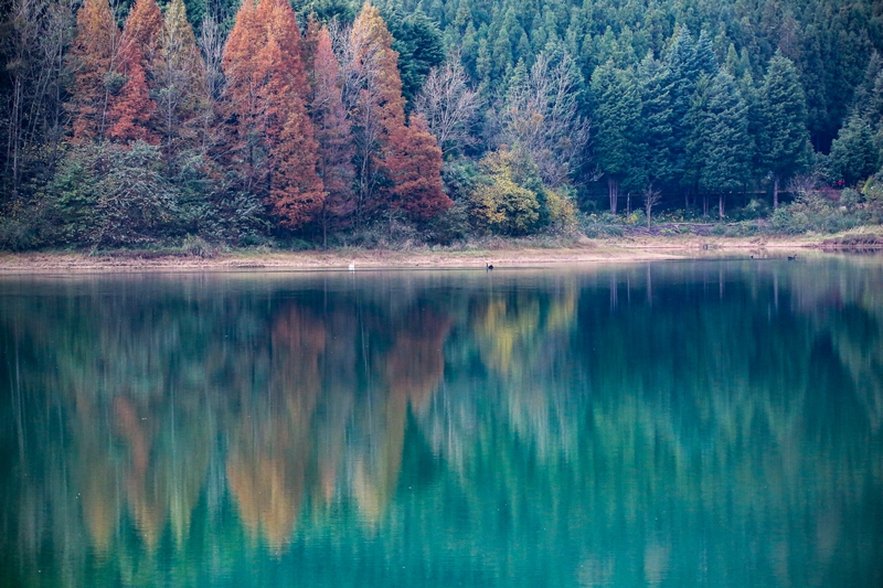 11月17日拍攝的貴州省六盤水市明湖國家濕地公園瑤池一角(5)(趙樺 攝)