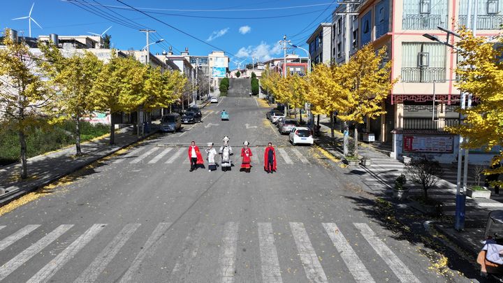 結(jié)構(gòu)的銀杏黃了航拍照片。湯斌攝