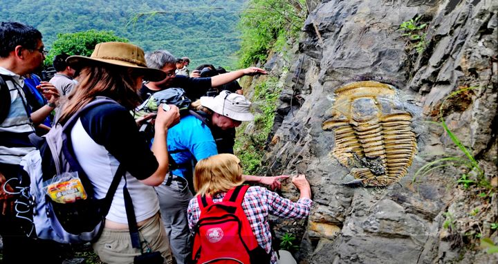 八郎古生物化石群。劍河縣融媒體中心供圖
