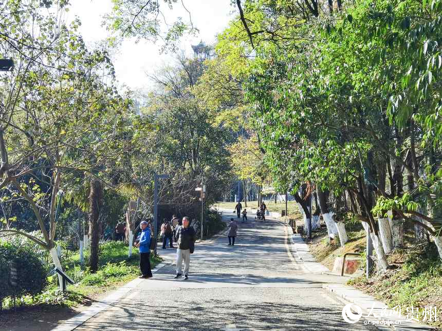 公園內休閑放松的市民游客絡繹不絕。人民網記者 王秀芳攝