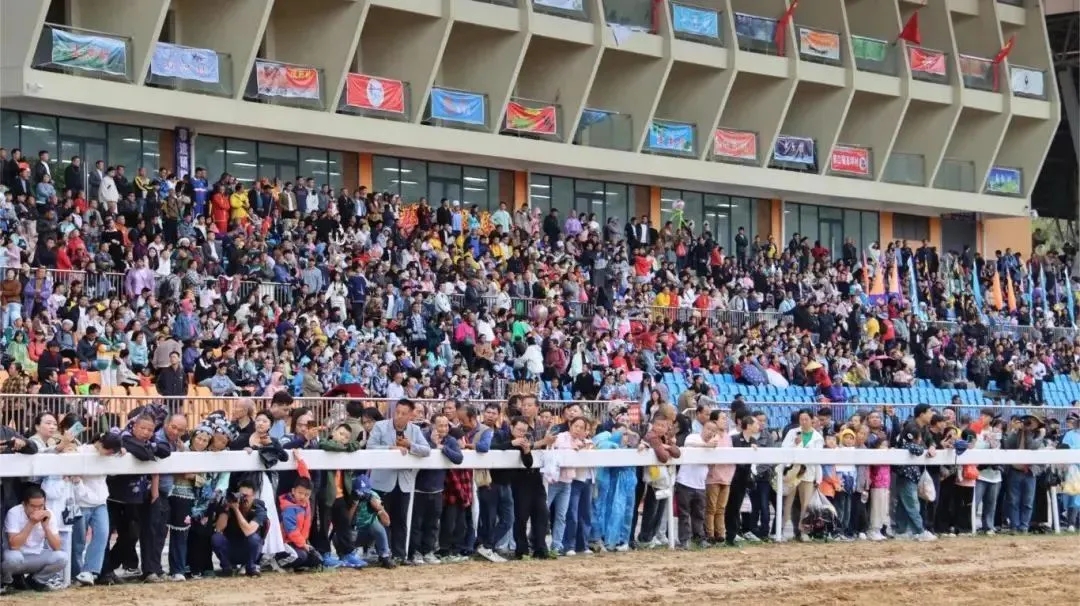 活動現(xiàn)場。