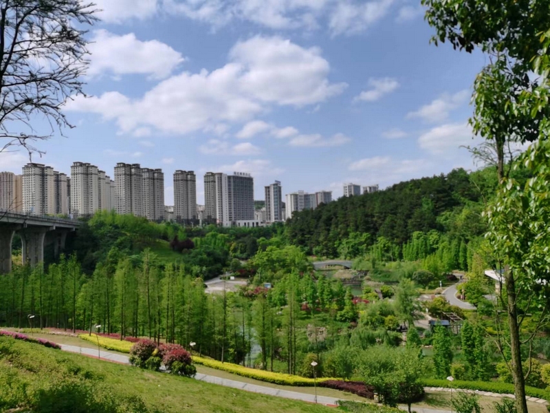 國家稅務總局貴州雙龍航空港經濟區一景。