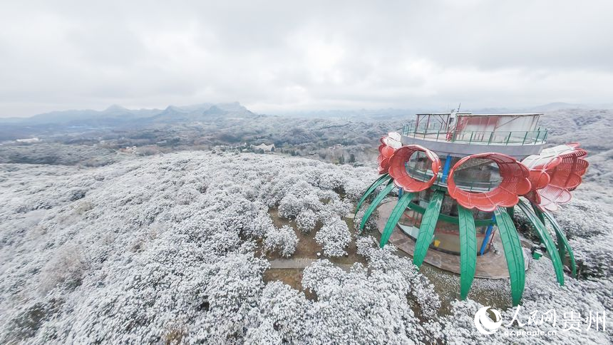 航拍雪后的百里杜鵑景區。人民網記者 涂敏攝