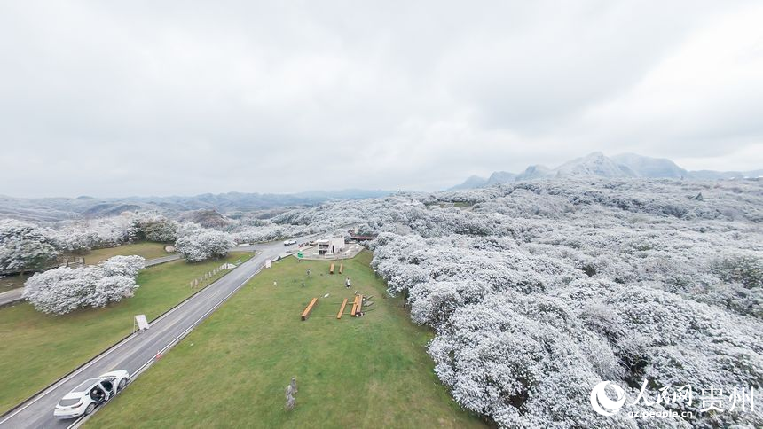 航拍雪后的百里杜鵑景區。人民網記者 涂敏攝