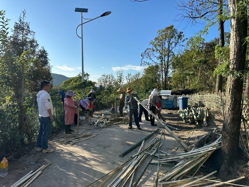 組織群眾打掃衛生，共同搭建漂亮的路邊籬笆圍欄。