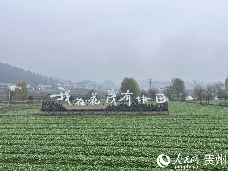 花茂村田園景致如畫。人民網 陳潔泉攝
