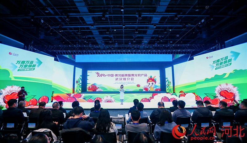 2024中國(guó)·青龍板栗暨青龍農(nóng)產(chǎn)品武漢推介會(huì)現(xiàn)場(chǎng)。人民網(wǎng)記者 周博攝