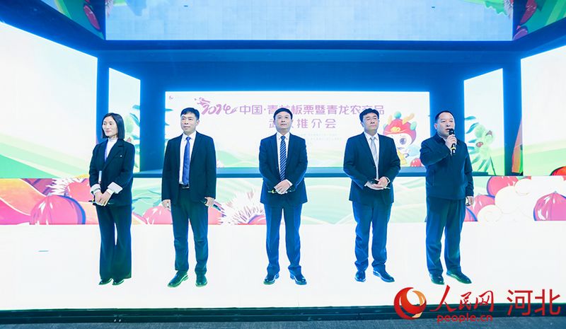 青龍政府和企業(yè)代表上臺(tái)推介青龍。人民網(wǎng)記者 李兆民攝