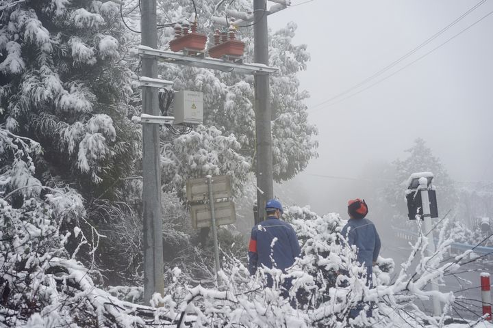 工作人員對供電線路和設備進行巡視、維護。金莎 攝 (2).jpg