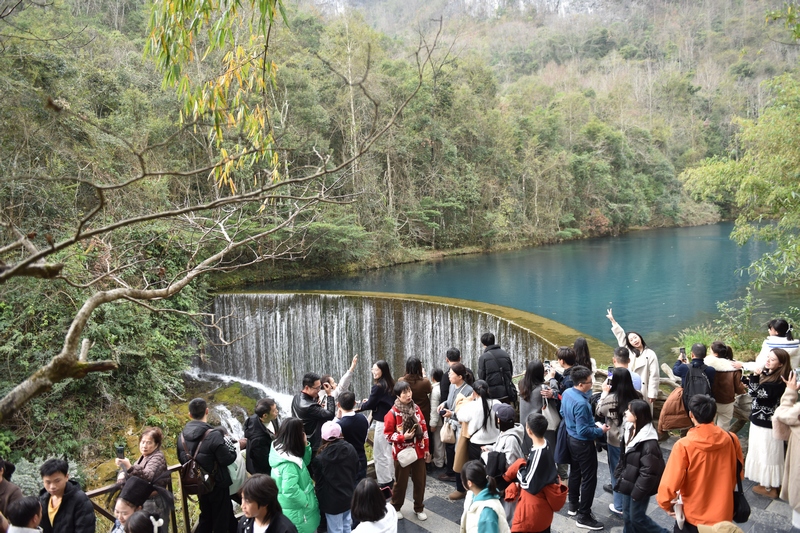 臥龍?zhí)镀俨记叭祟^攢動。