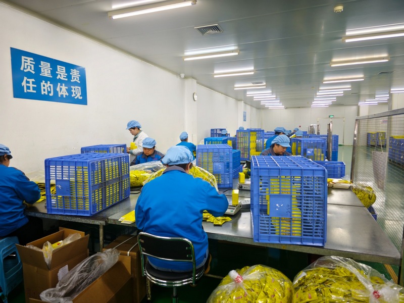 修文縣16家規(guī)上藥企按下復(fù)工復(fù)產(chǎn)“啟動鍵”。