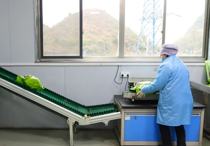 全力以“復” 西秀企業跑出復工“加速度” (2).jpg