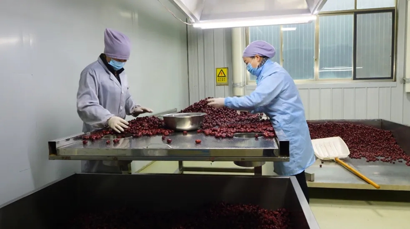 全力以“復”,西秀企業跑出復工“加速度”。