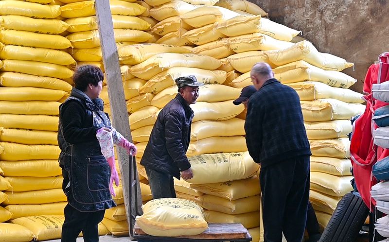 農(nóng)戶正在購買農(nóng)資。沈建華 攝.jpg