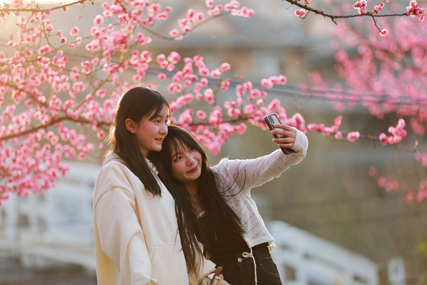 3月1日，貴州省黔西市西門外城郊的梅花迎春綻放，吸引游人紛紛前來觀花賞景、拍照打卡，樂享暖春時光。