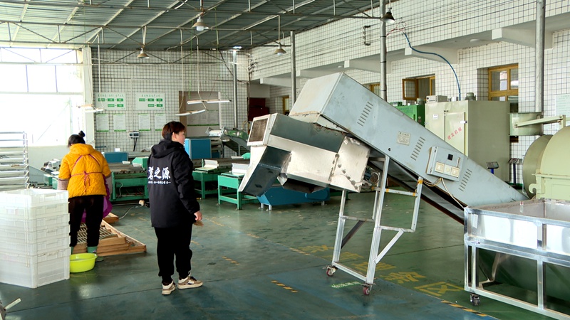 清理環境衛生。