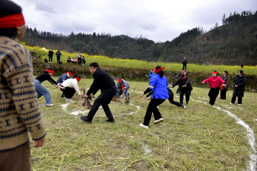 村民在榕江縣寨蒿鎮(zhèn)平堡村參加“蒙眼抓雞鴨”活動(dòng)。