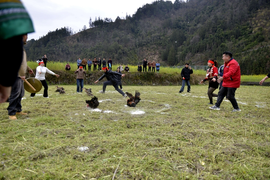 村民在榕江縣寨蒿鎮(zhèn)平堡村參加“蒙眼抓雞鴨”活動。
