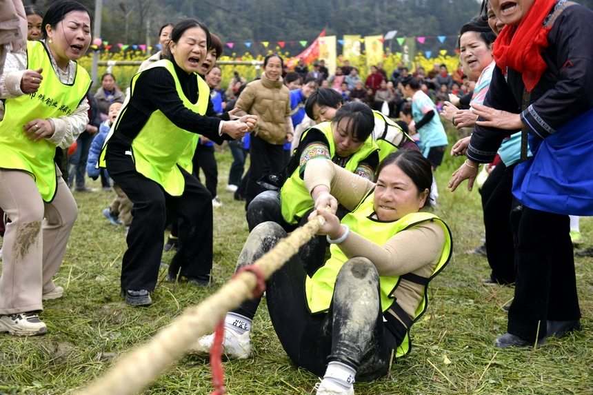 村民在榕江縣寨蒿鎮(zhèn)平堡村參加“南瓜拔河”活動(dòng)。 