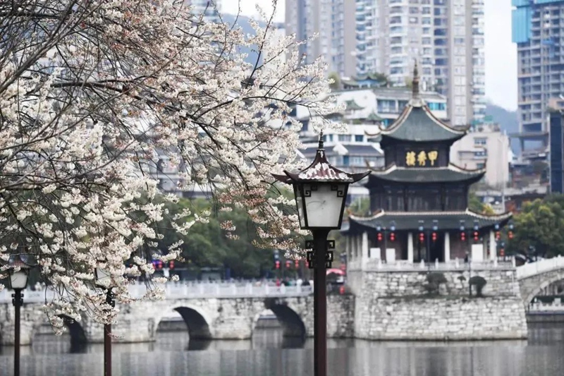 春日尋芳，花漾南明。