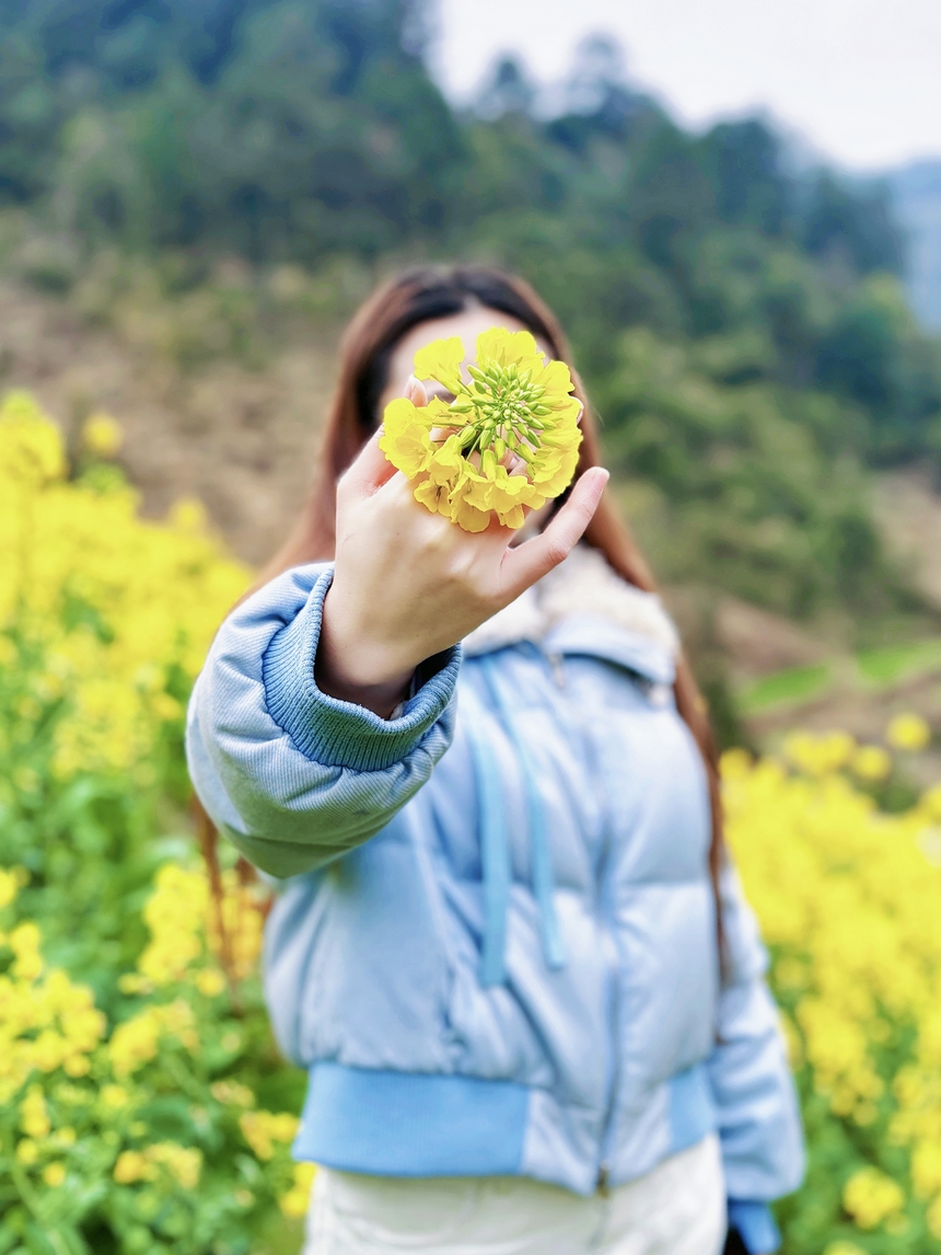 手捧油菜花，邂逅習(xí)水程寨鎮(zhèn)的明媚春光。