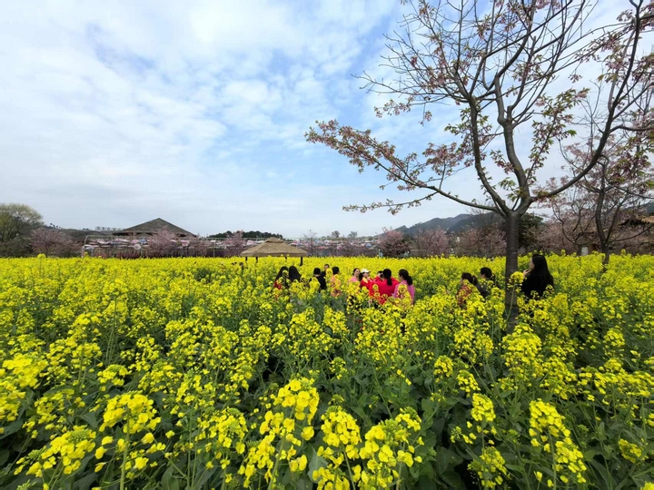 金海雪山景區(qū) (2).jpg