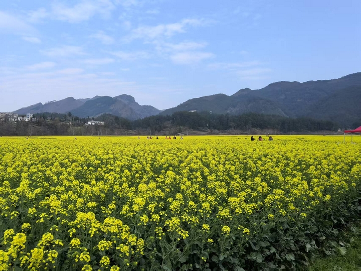 金海雪山景區(qū)。