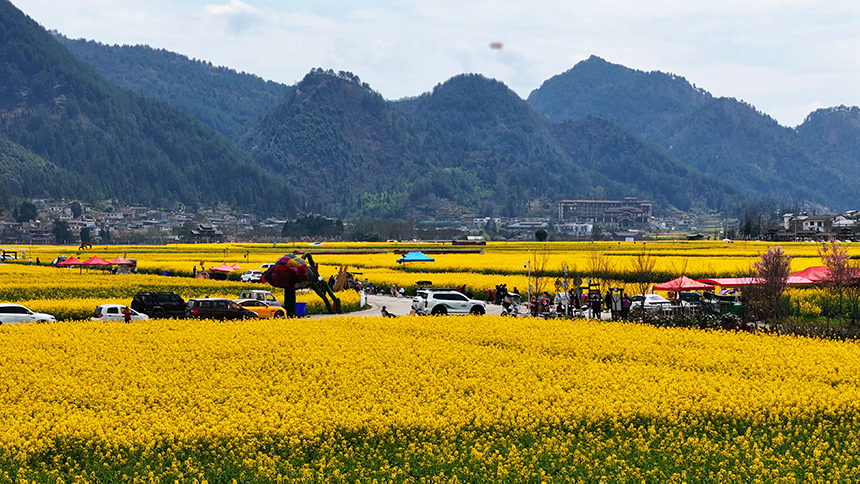 金海雪山景區。貴定縣人民政府網供圖