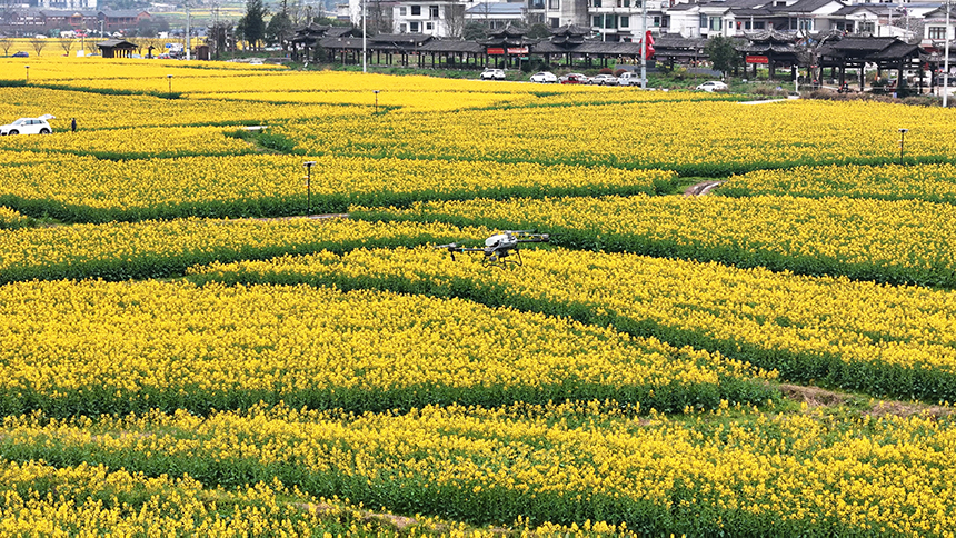 金海雪山景區。貴定縣人民政府網供圖