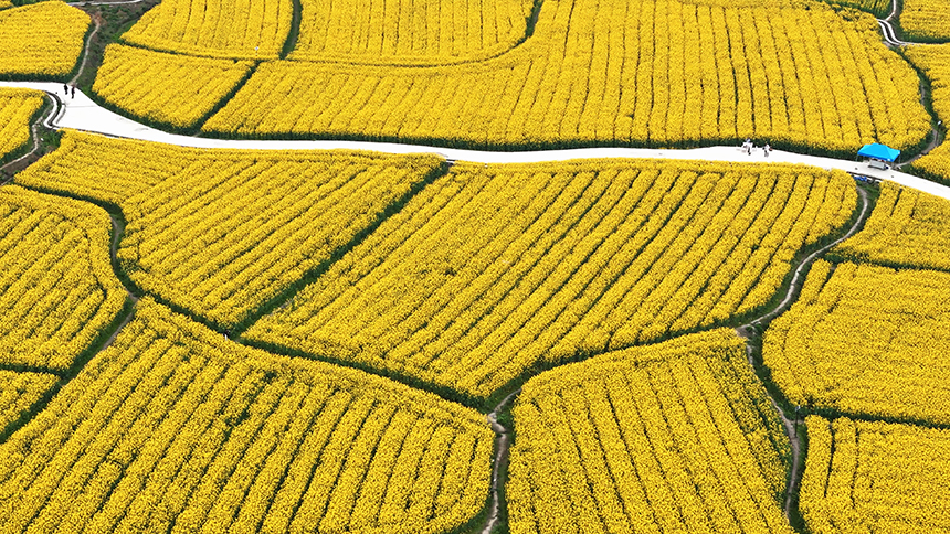 金海雪山景區。貴定縣人民政府網供圖