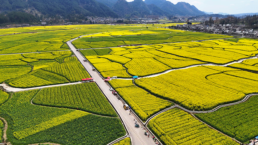 金海雪山景區。貴定縣人民政府網供圖