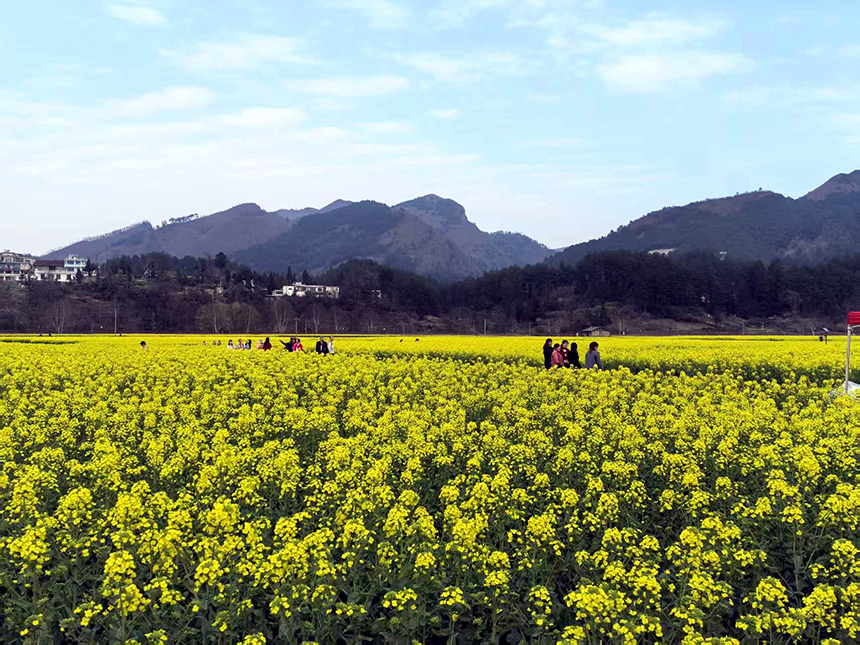 金海雪山景區(qū)。林曉攝
