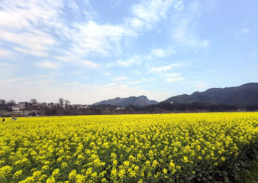 金海雪山景區(qū)。林曉攝