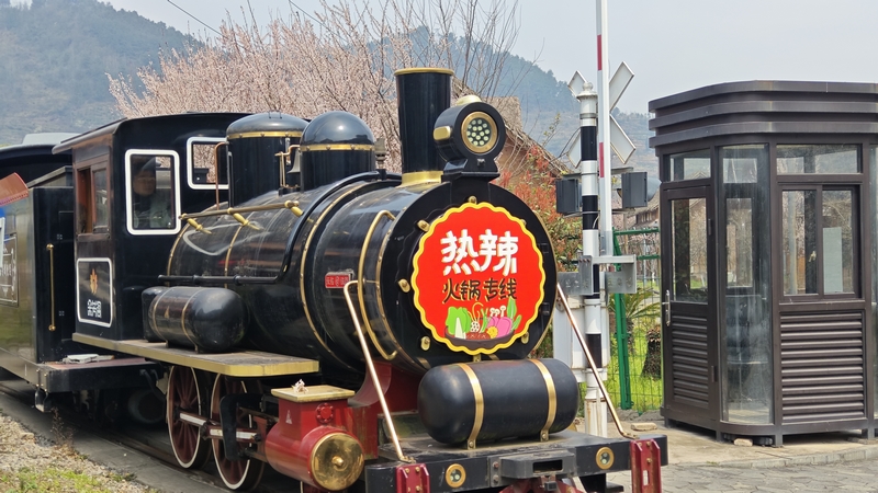 修文桃源河景區“熱辣火鍋專線”解鎖沉浸式賞花新體驗。趙益梅攝