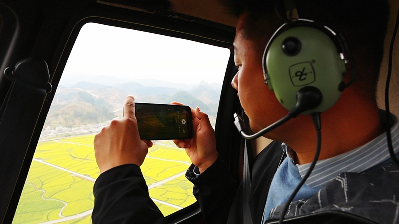 直升機看花海。