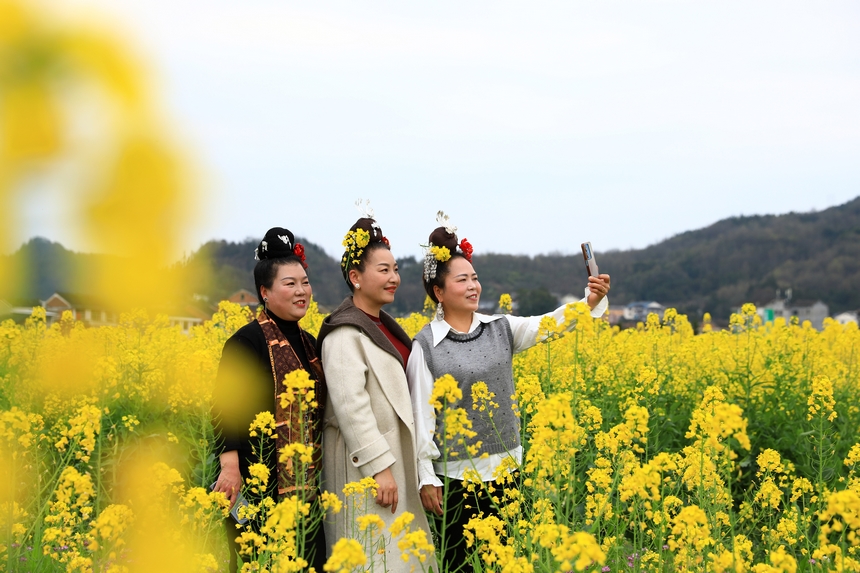 游客拍照打卡。楊家孟攝