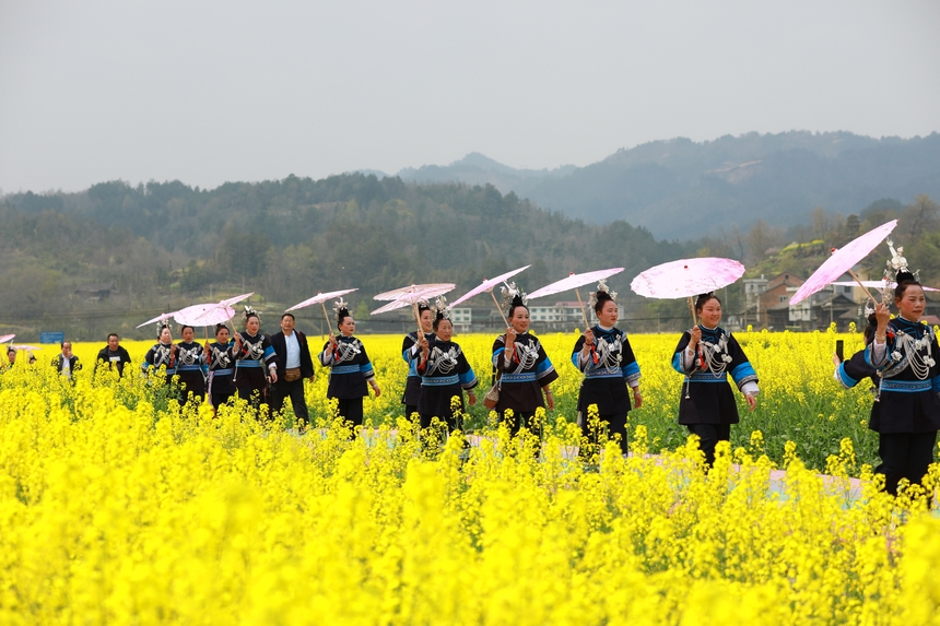 游客在油菜花田游玩。楊家孟攝